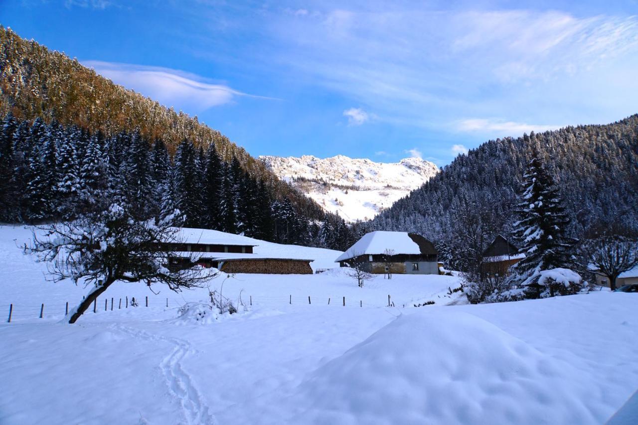 Willa La Grange Au Ruisseau Bellecombe-en-Beauges Zewnętrze zdjęcie